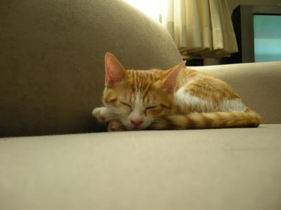 DSCN1577.JPG