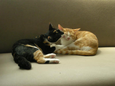 DSCN1584.JPG