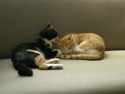 DSCN1585.JPG