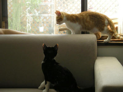 DSCN1551.JPG
