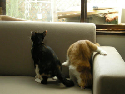 DSCN1552.JPG