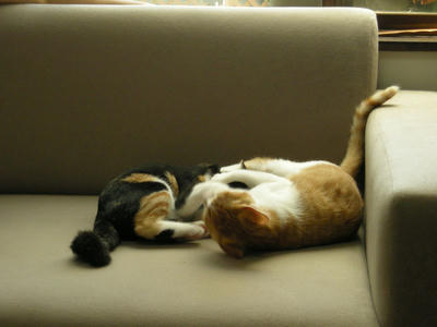 DSCN1553.JPG