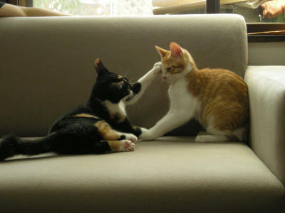 DSCN1554.JPG