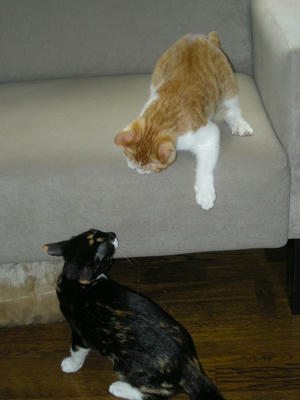 DSCN1559.JPG