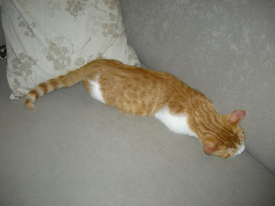 DSCN2050.JPG