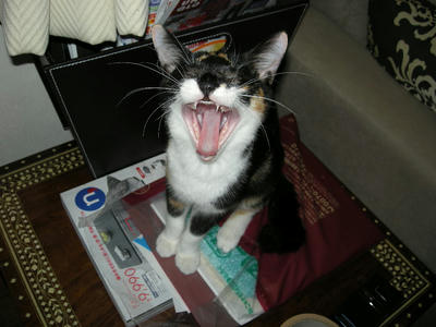 DSCN2053.JPG