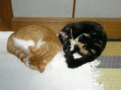 DSCN2115.JPG