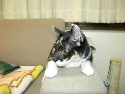 DSCN2302.JPG