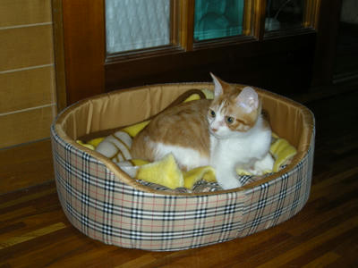 DSCN2296.JPG