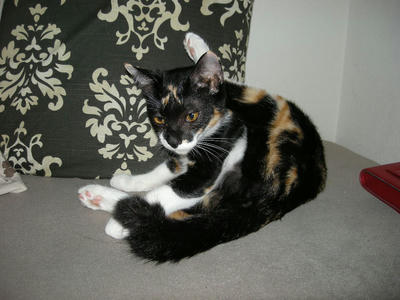 DSCN2291.JPG