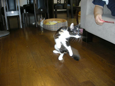 DSCN2357.JPG