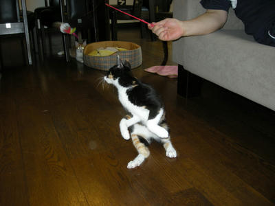 DSCN2360.JPG