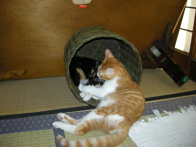 DSCN2398.JPG