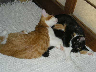 DSCN2403.JPG