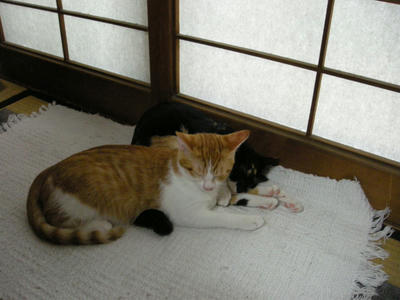 DSCN2404.JPG