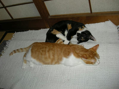 DSCN2405.JPG