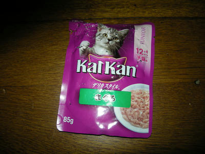 DSCN2501.JPG