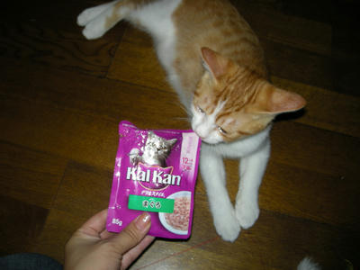 DSCN2503.JPG
