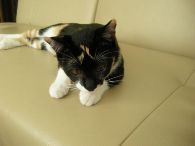 DSCN2443.JPG