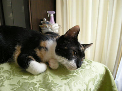 DSCN2478.JPG