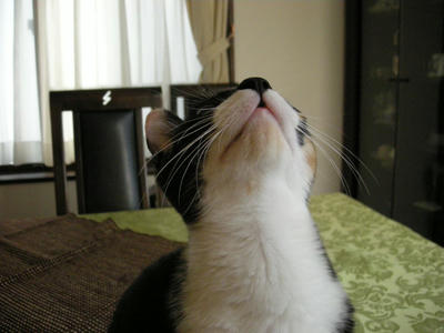 DSCN2493.JPG