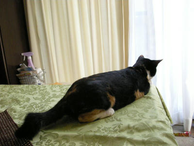 DSCN2484.JPG