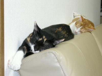 DSCN2545.JPG