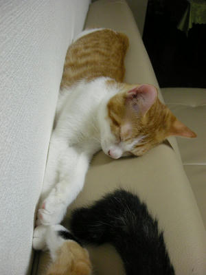DSCN2554.JPG