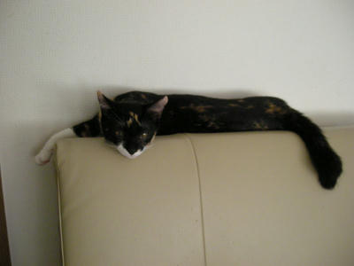 DSCN2511.JPG