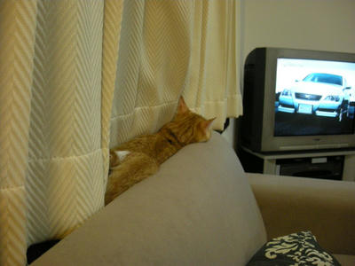 DSCN2712.JPG