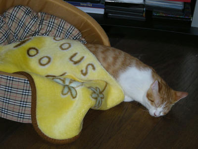 DSCN2746.JPG