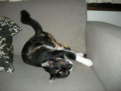 DSCN2691.JPG