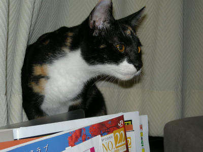 DSCN2725.JPG