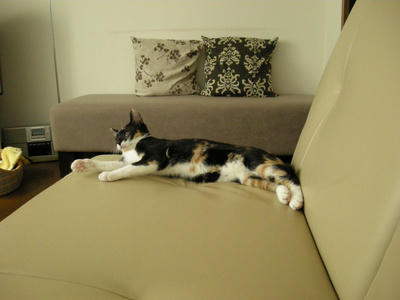 DSCN2457.JPG