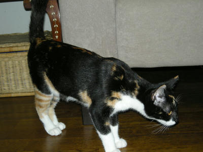 DSCN2471.JPG