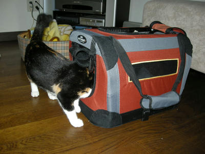 DSCN2799.JPG