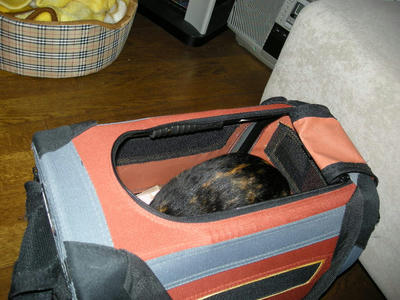 DSCN2802.JPG