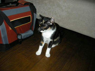 DSCN2826.JPG
