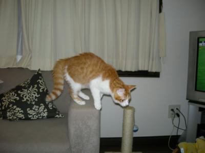 DSCN2831.JPG