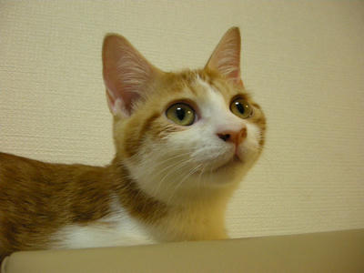 DSCN3035.JPG