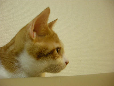 DSCN3034.JPG