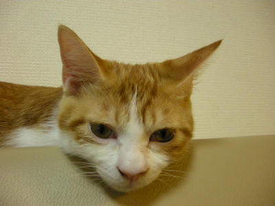 DSCN3040.JPG