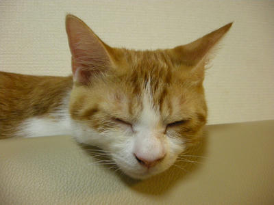 DSCN3041.JPG