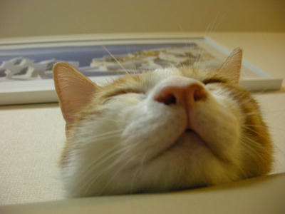 DSCN3042.JPG