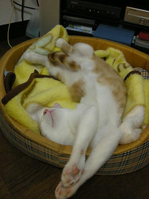DSCN2990.JPG