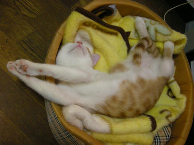 DSCN2992.JPG