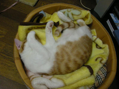 DSCN2994.JPG