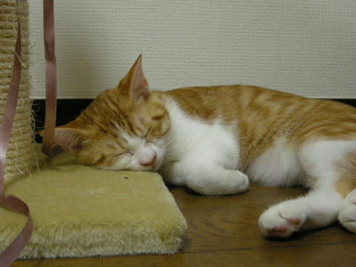 DSCN2987.JPG