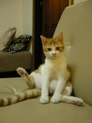 DSCN3013.JPG