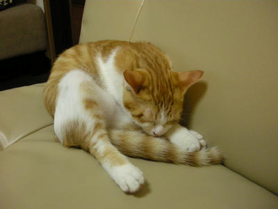 DSCN3015.JPG
